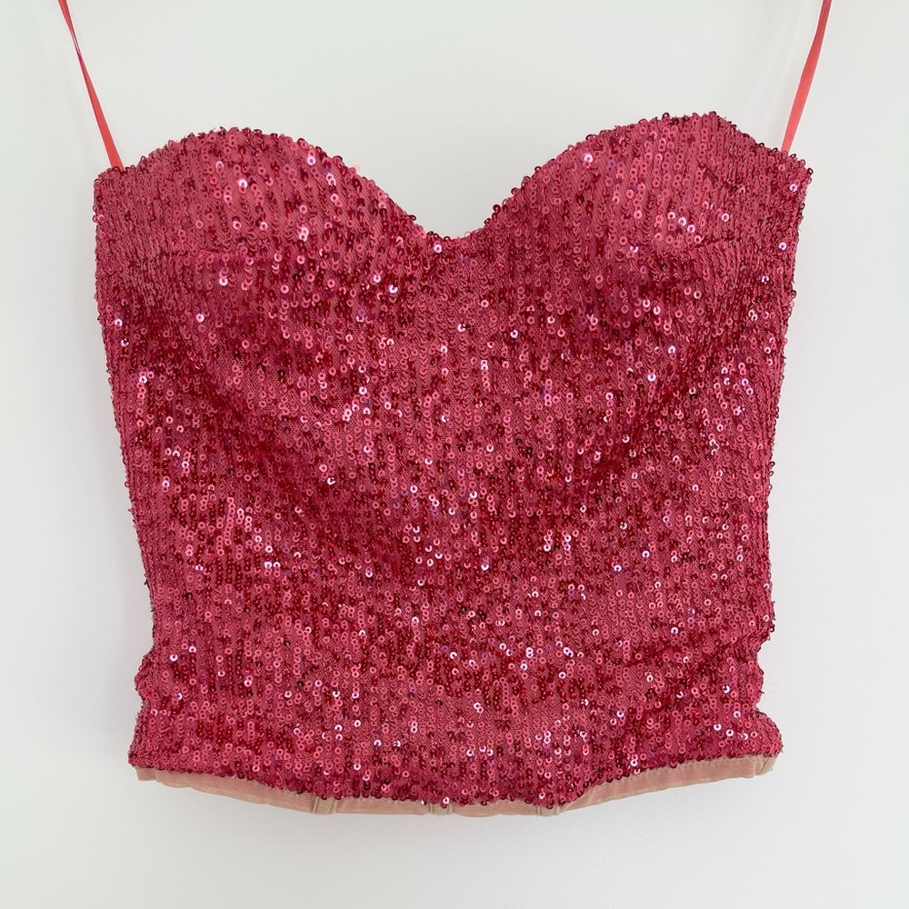 Elisabetta Franchi Sequin Embellished Bustier Top in Pink